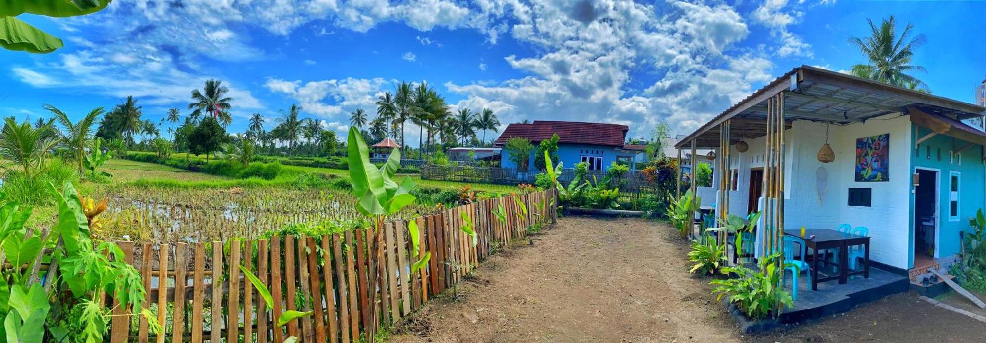 Alfarizi Homestay Tetebatu Esterno foto