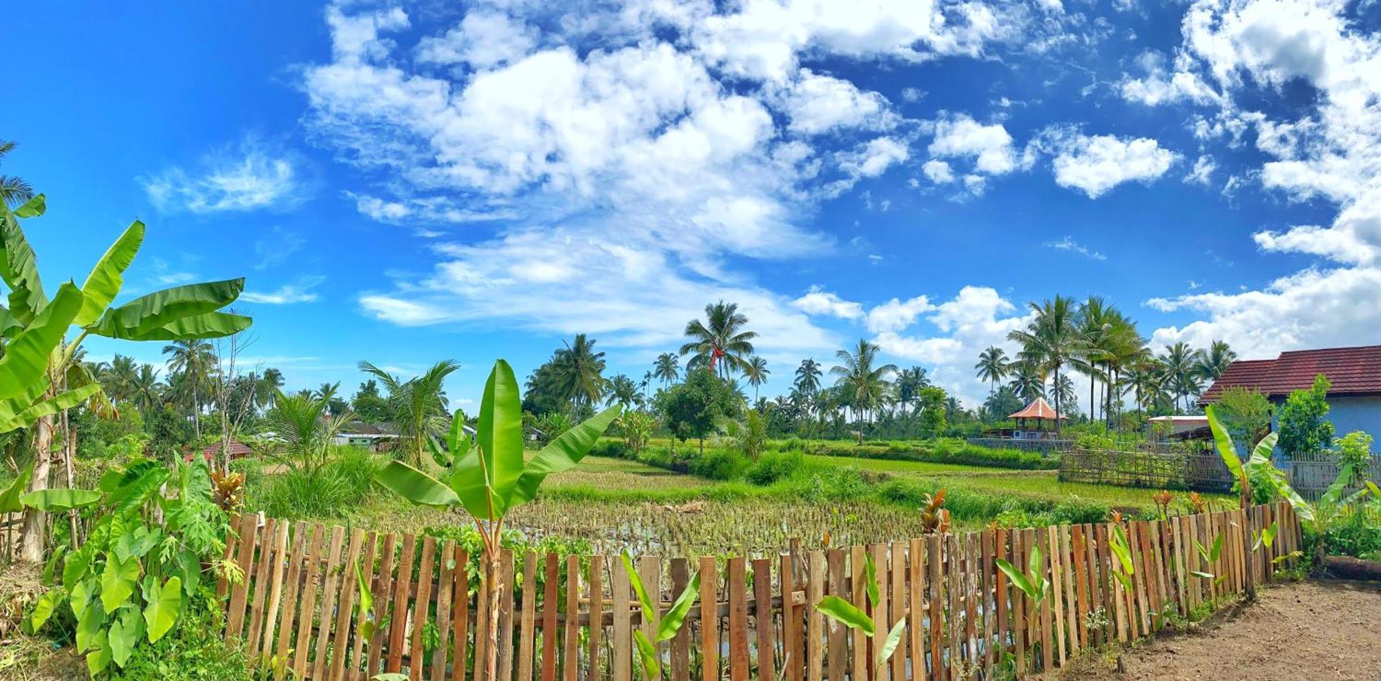 Alfarizi Homestay Tetebatu Esterno foto