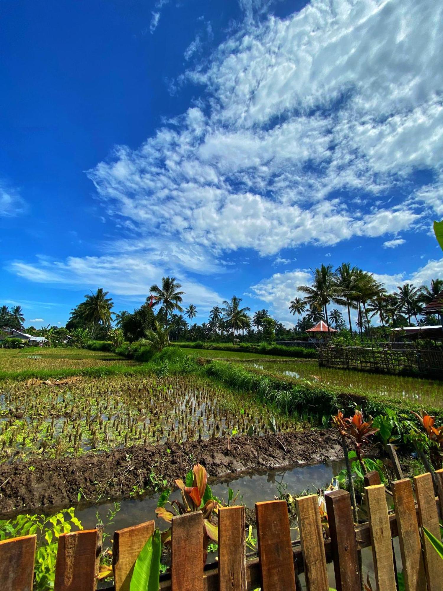 Alfarizi Homestay Tetebatu Camera foto