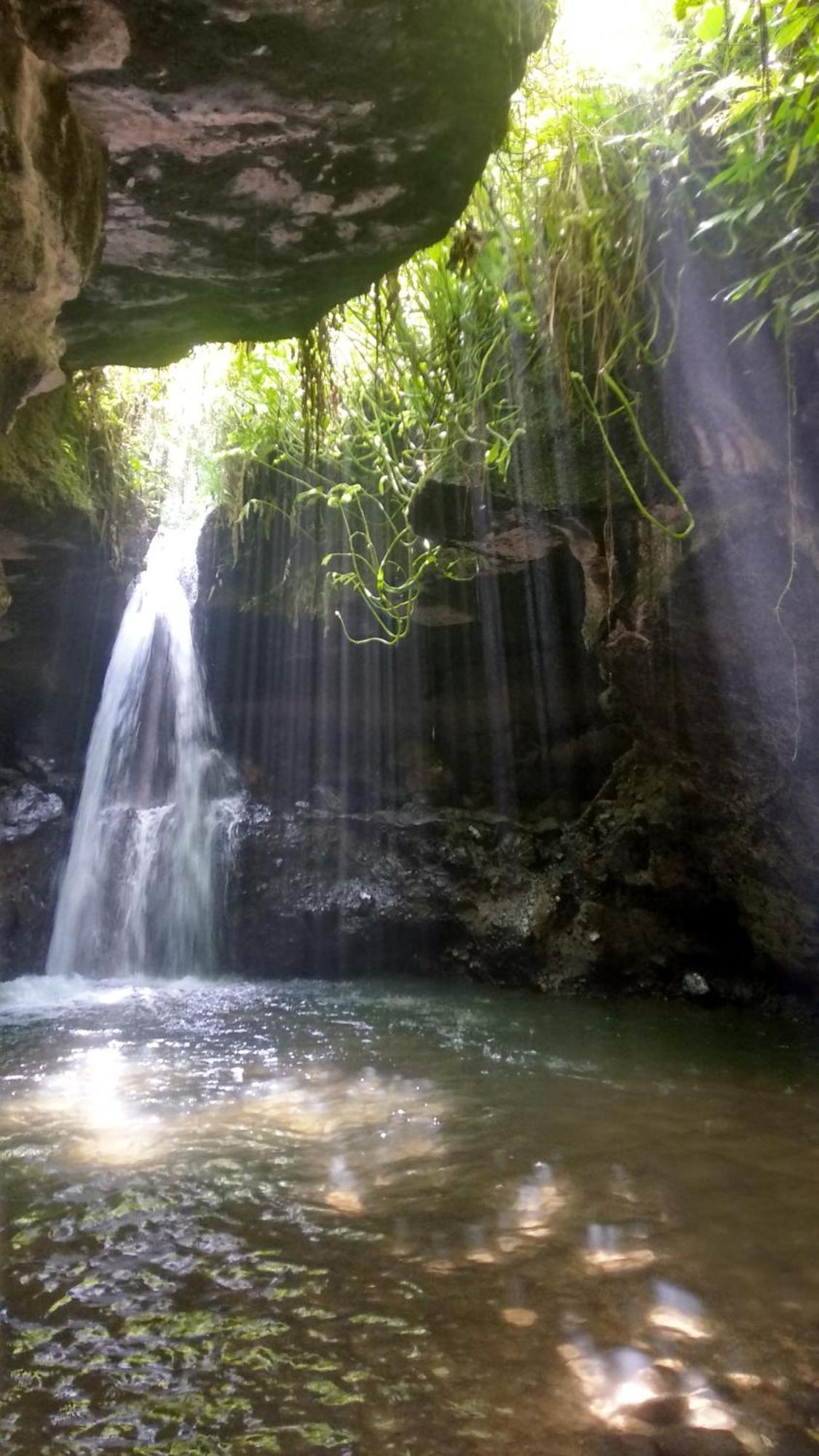 Alfarizi Homestay Tetebatu Esterno foto