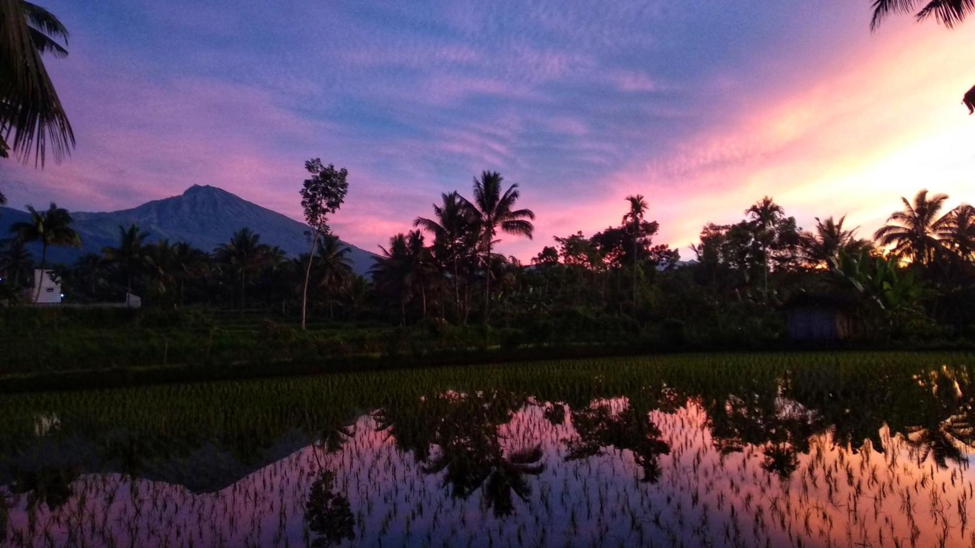 Alfarizi Homestay Tetebatu Esterno foto
