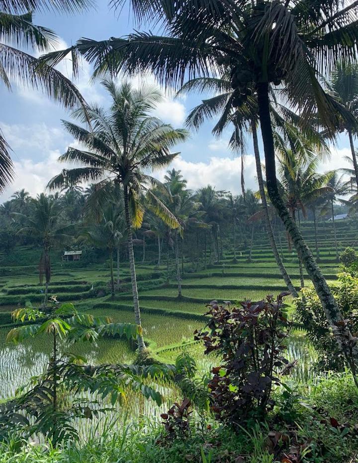 Alfarizi Homestay Tetebatu Esterno foto