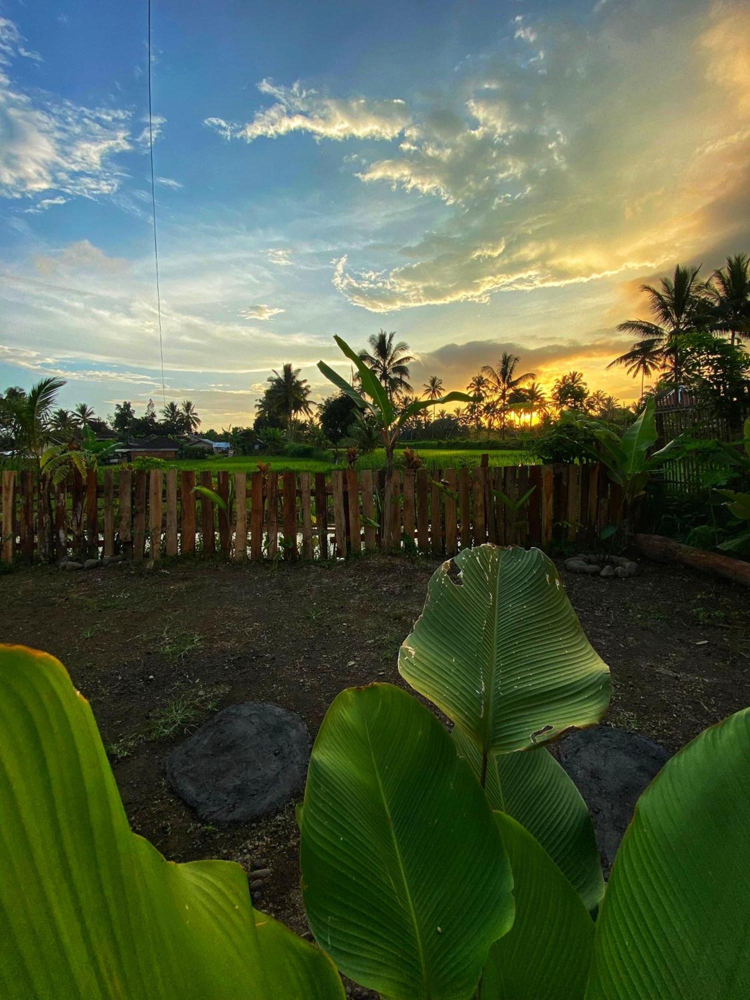 Alfarizi Homestay Tetebatu Esterno foto
