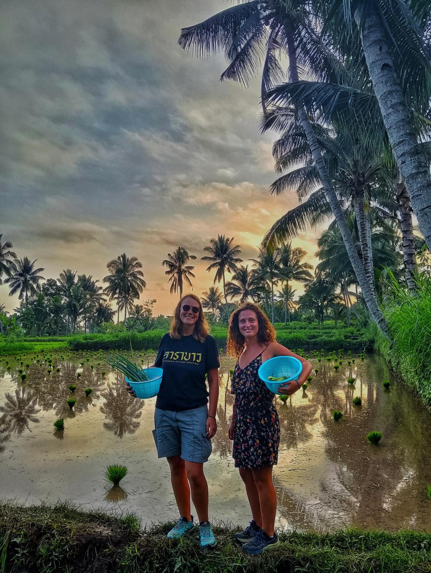 Alfarizi Homestay Tetebatu Esterno foto