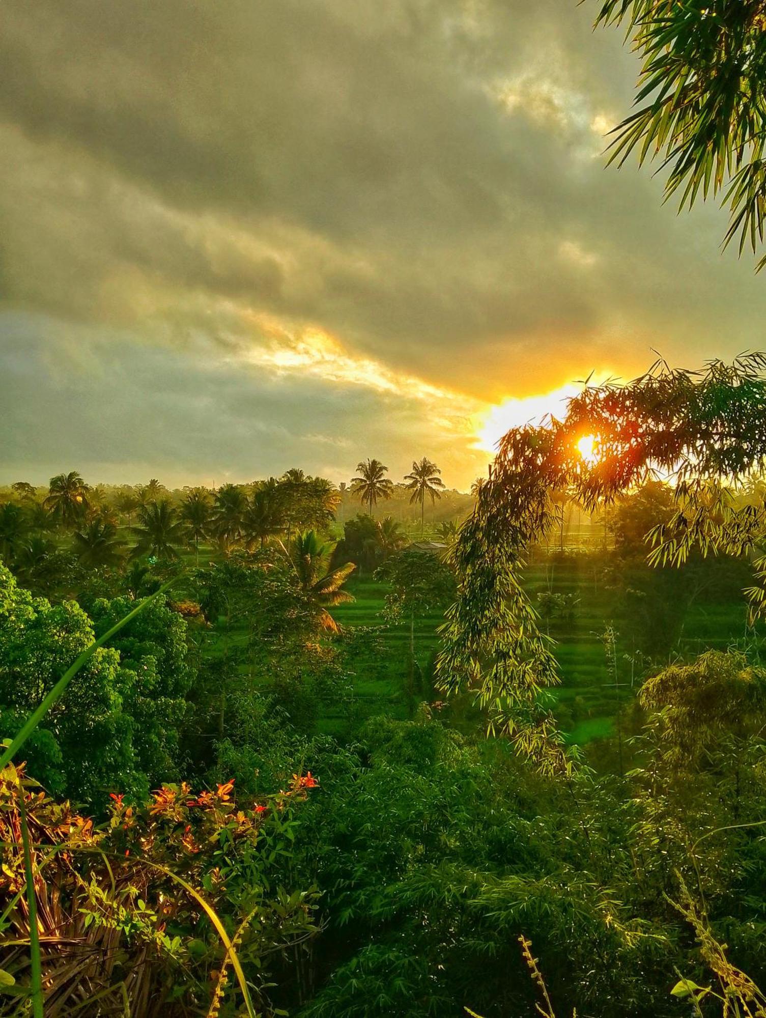 Alfarizi Homestay Tetebatu Esterno foto