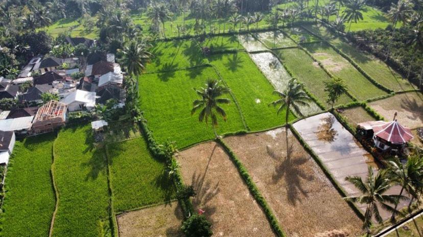 Alfarizi Homestay Tetebatu Esterno foto